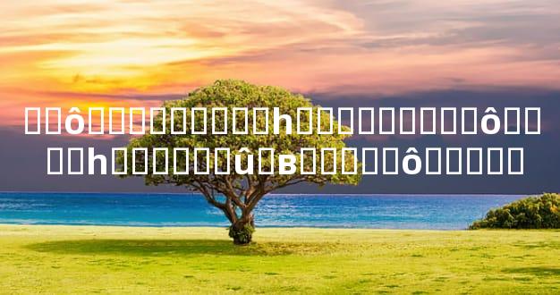 ��ô�����Ͽ���һ���˲�����ô�� ��һ������û�в�����ô���ֻ�